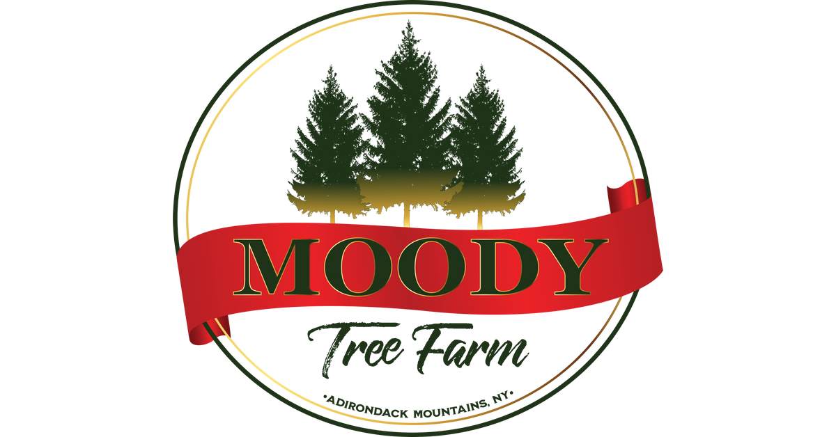 Adirondack Park Wooden Ornaments - Locally Hand Crafted – moodytreefarm