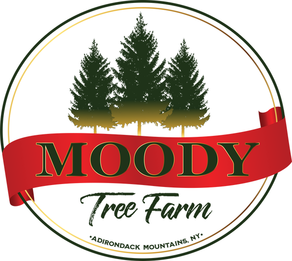 moodytreefarm
