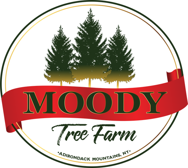 moodytreefarm logo