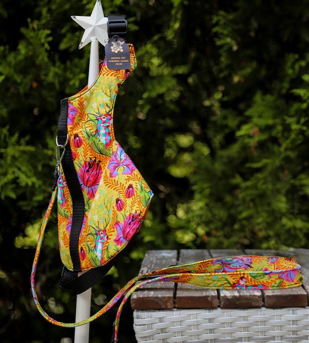 Simply B: Pet Harness Coordinates