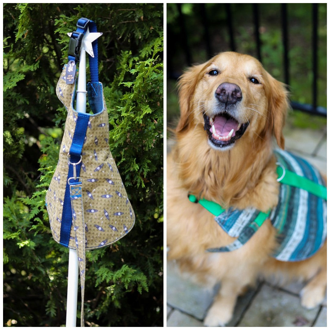 Simply B: Pet Harness Coordinates
