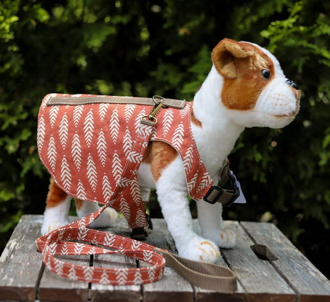 Simply B: Pet Harness Coordinates