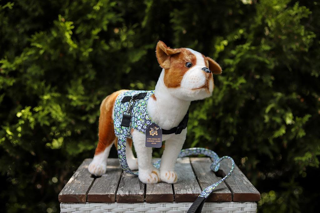 Simply B: Pet Harness Coordinates