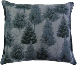 Trees of the Adirondacks -7X8 Balsam Pillow