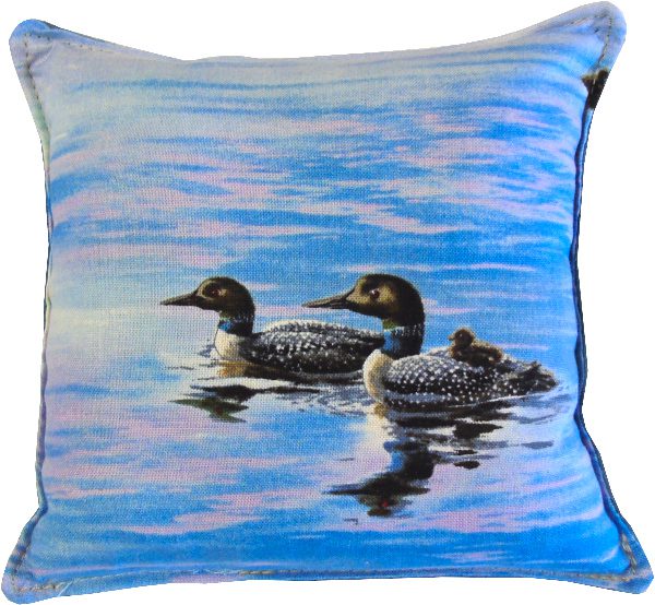 A pillow with a duck design