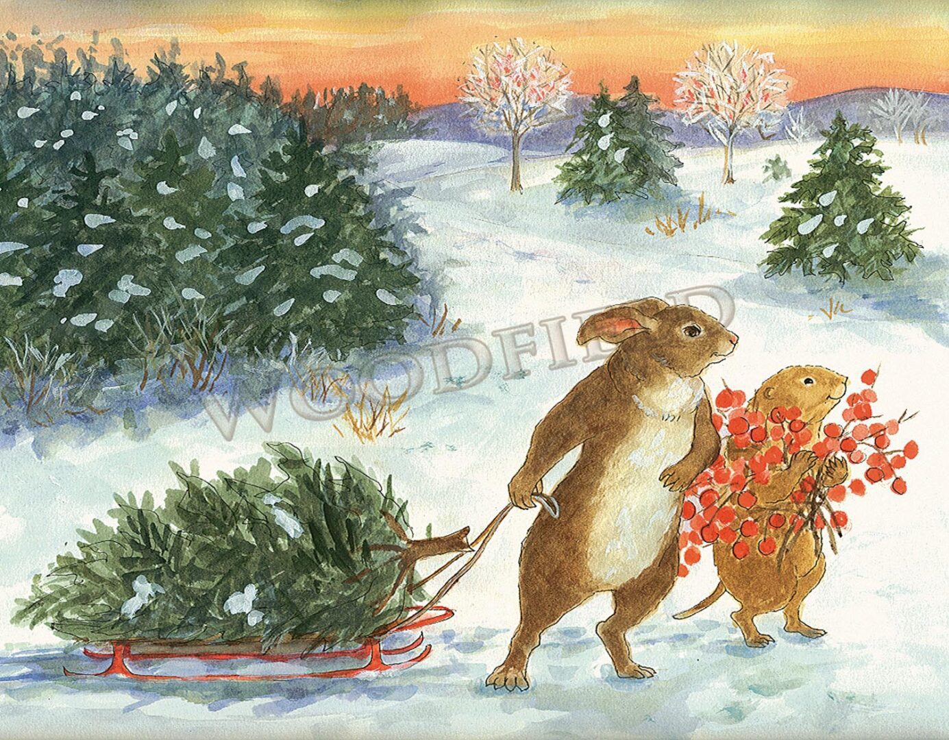 Two rabbits grabbing a pine tree