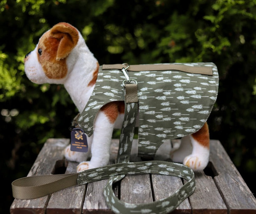 Simply B: Pet Harness Coordinates