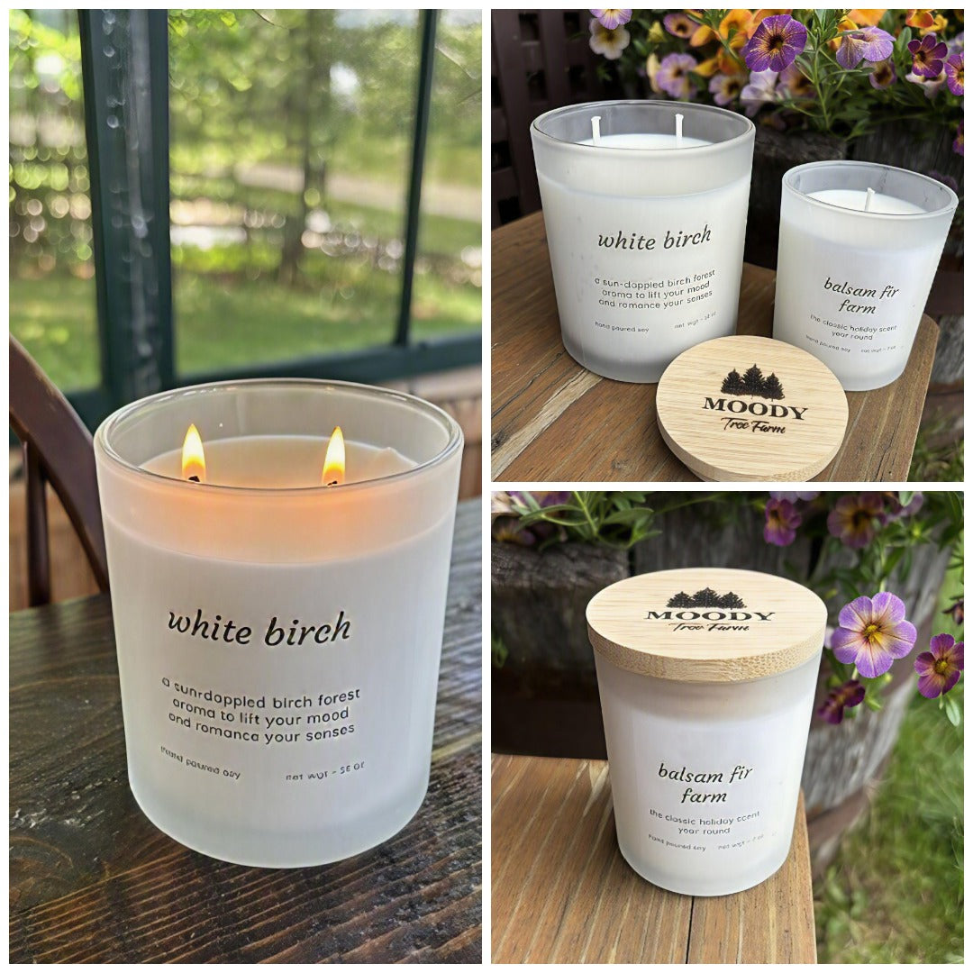 Soy Wax Candle Frosted Jar Collection, (New for 2026)